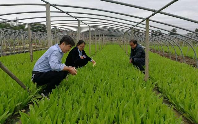 没喝过.png 没喝过.png