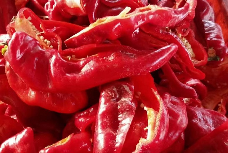 谢谢酱12.jpg 谢谢酱12.jpg